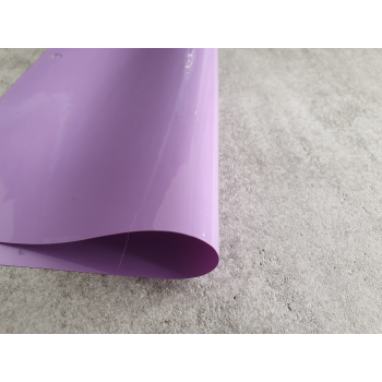 folia sufitowa P229